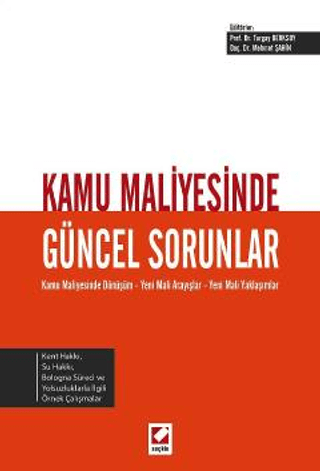 Kamu Maliyesinde Güncel Sorunlar Turgay Berksoy