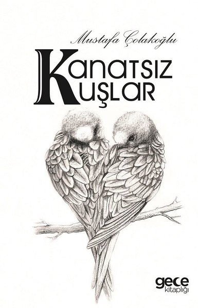 Kanatsız Kuşlar Mustafa Çolakoğlu