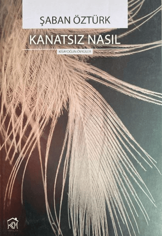 Kanatsız Nasıl Şaban Öztürk