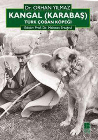 Kangal (Karabaş) Türk Çoban Köpeği %31 indirimli Orhan Yılmaz