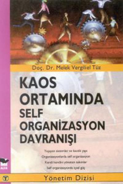 Kaos Ortamında Self Organizasyon Davranışı Melek Vergiliel Tüz