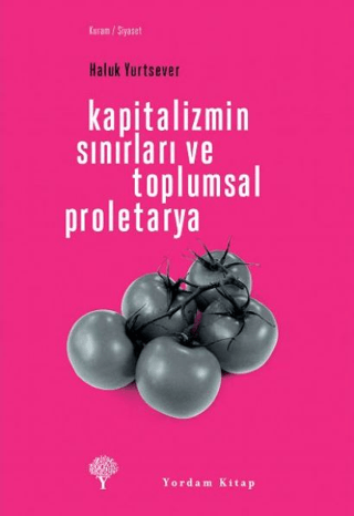 Kapitalizmin Sınırları ve Toplumsal Proletarya %29 indirimli Haluk Yur