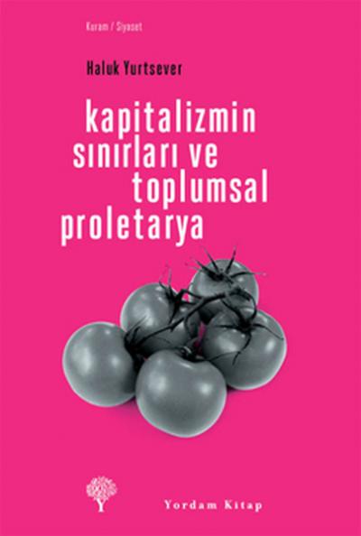 Kapitalizmin Sınırları ve Toplumsal Proletarya %29 indirimli Haluk Yur