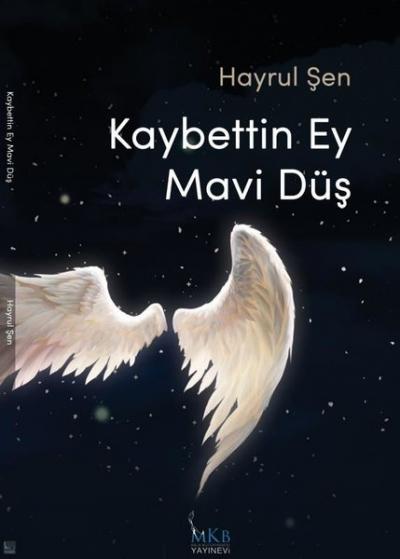 Kaybettin Ey Mavi Düş Hayrul Şen