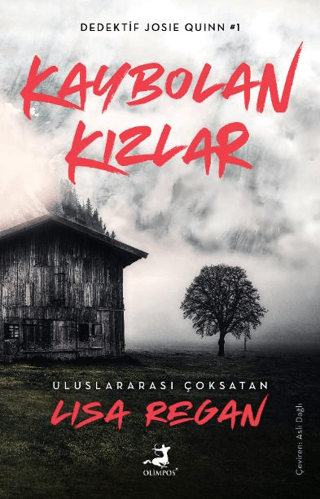 Kaybolan Kızlar - Dedektif Joise Quinn 1 Lisa Regan