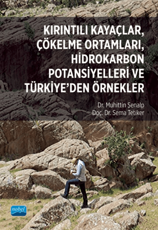 Kırıntılı Kayaçlar, Çökelme Ortamları, Hidrokarbon Potansiyelleri ve T