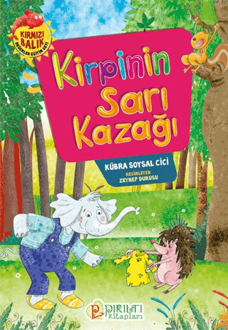 Kirpinin Sarı Kazağı Kübra Soysal Cici