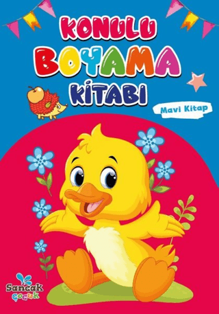 Konulu Boyama Kitabı - Mavi Kitap Kolektif