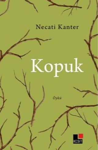 Kopuk Necati Kanter