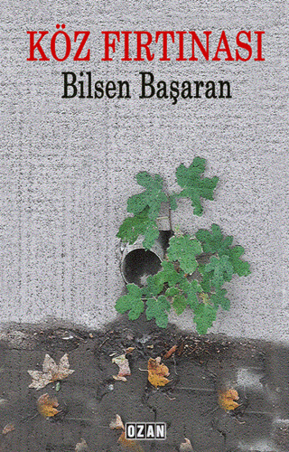 Köz Fırtınası Bilsen Başaran