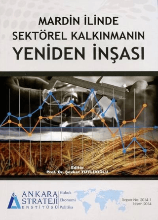 Mardin İlinde Sektörel Kalkınmanın Yeniden İnşası Şevket Tüylüoğlu