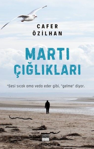 Martı Çığlıkları Cafer Özilhan