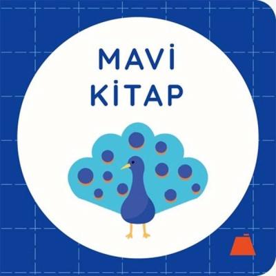 Mavi Kitap (Ciltli) Kolektif