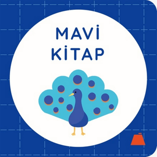 Mavi Kitap (Ciltli) Kolektif