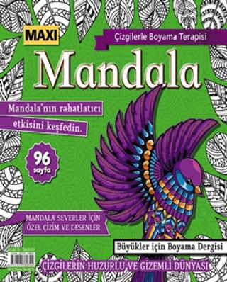 Maxi Mandala Çizgilerle Boyama Terapisi 9 Bertan Kodamanoğlu