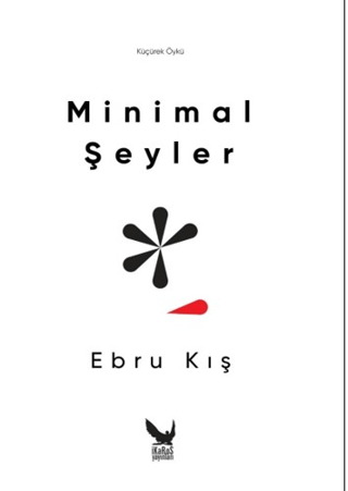 Minimal Şeyler Ebru Kış