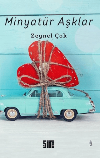 Minyatür Aşklar Zeynel Çok