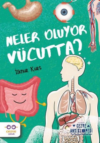 Neler Oluyor Vücutta? Cezve Ansiklopedi İlknur Kurt