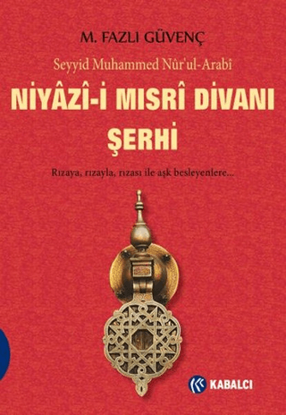 Niyaz-i Mısri Divanı Şerhi Seyyid Muhammed Nur'ul-Arabi