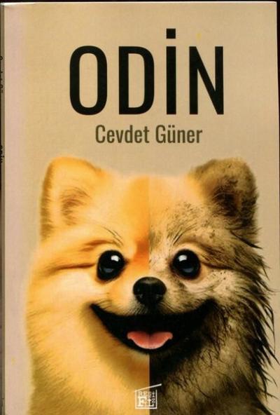 Odin Cevdet Güner