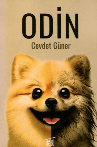 Odin Cevdet Güner