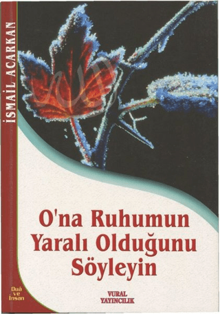 O'na Ruhumun Yaralı Olduğunu Söyleyin İsmail Acarkan