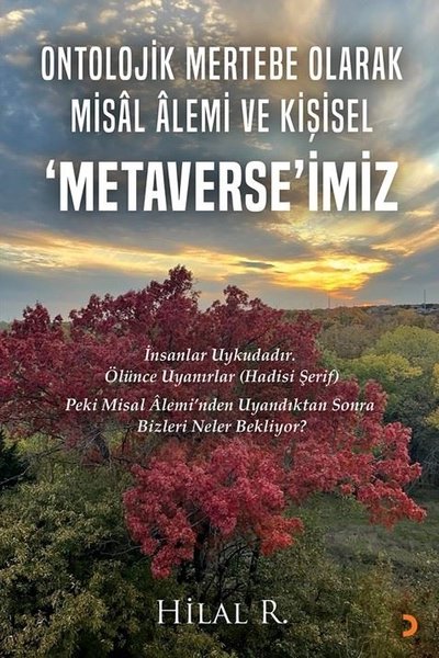 Ontolojik Mertebe Olarak Misal Alemi ve Kişisel Metaverse'miz Hilal R.