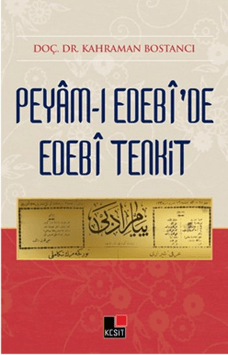 Peyam-i Edebi'de Edebi Tenkit Kahraman Bostancı