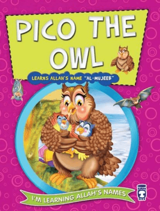 Pico the Owl Learns Allah's Name Al Mujeeb Nur Kutlu