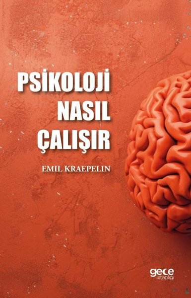 Psikoloji Nasıl Çalışır Emil Kraepelin