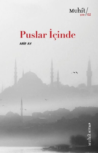 Puslar İçinde Arif Ay