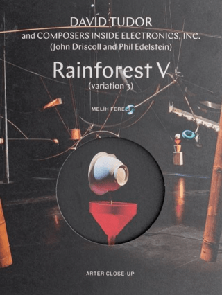 Rainforest V (variation 3) Melih Fereli