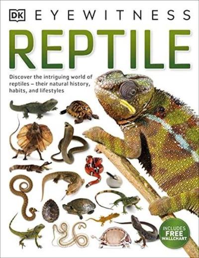 Reptile (DK Eyewitness)