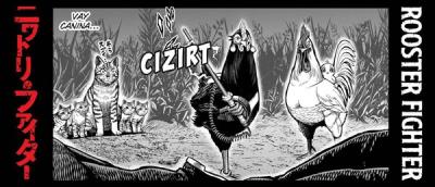 Rooster Fighter Cilt 2 - Horoz Savaşçı Shu Sakuratani