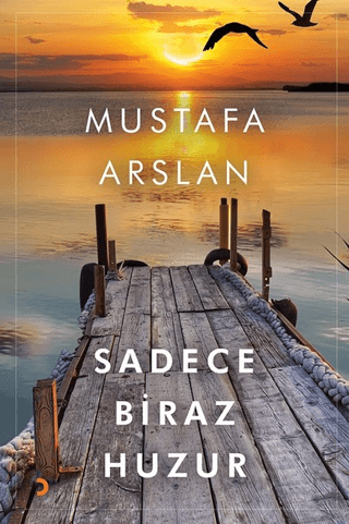 Sadece Biraz Huzur Mustafa Arslan