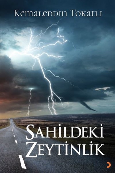 Sahildeki Zeytinlik Kemaleddin Tokatlı