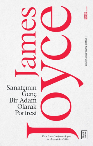 Sanatçının Genç Bir Adam Olarak Portresi James Joyce