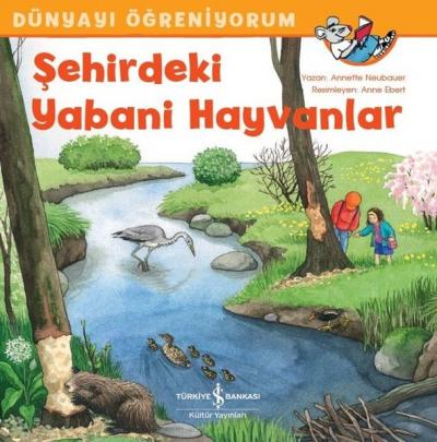 Şehirdeki Yabani Hayvanlar - Dünyayı Öğreniyorum Annette Neubauer