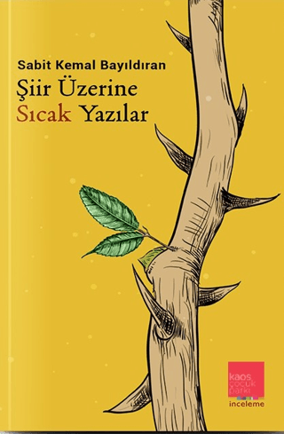 Şiir Üzerine Sıcak Yazılar Sabit Kemal Bayıldıran