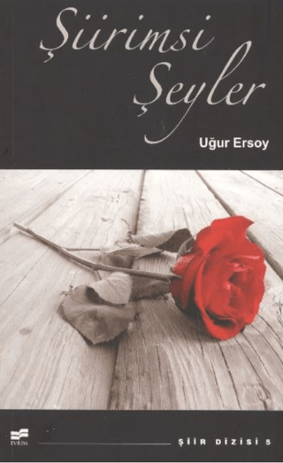 Şiirimsi Şeyler Uğur Ersoy