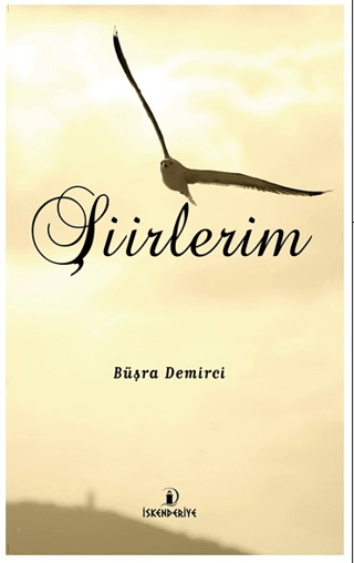 Şiirlerim Büşra Demirci