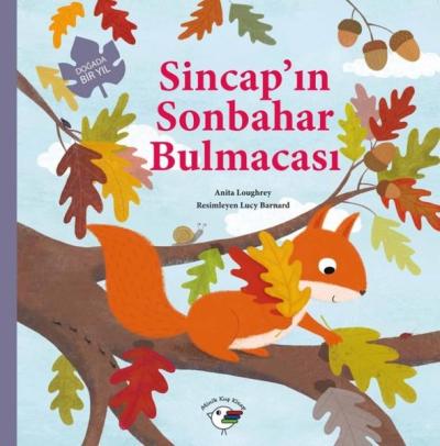 Sincap'ın Sonbahar Bulmacası - Doğada Bir Yıl Anita Loughrey