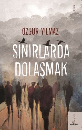 Sınırlarda Dolaşmak Özgür Yılmaz