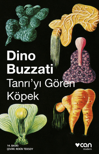 Tanrıyı Gören Köpek Dino Buzzati