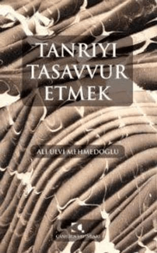 Tanrıyı Tasavvur Etmek Ali Ulvi Mehmedoğlu