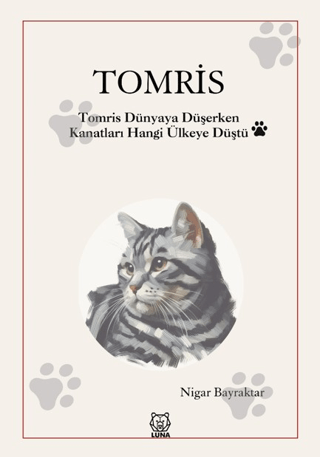 Tomris - Tomris Dünyaya Düşerken Kanatları Hangi Ülkeye Düştü Nigar Ba