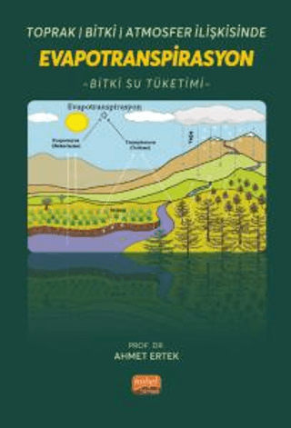 Toprak - Bitki - Atmosfer İlişkisinde Evapotranspirasyon - Bitki Su Tü