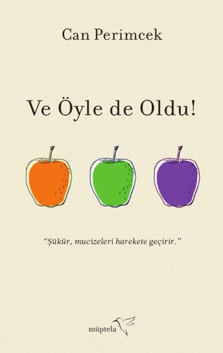 Ve Öyle de Oldu! Can Perimcek