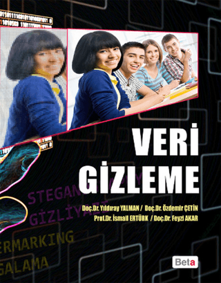 Veri Gizleme %10 indirimli İsmail Ertürk