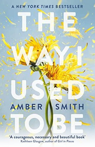 Way I Used to Be (Way I Used to Be) Amber Smith